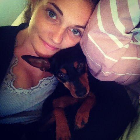 Dvaergpinscher Mille billede 22