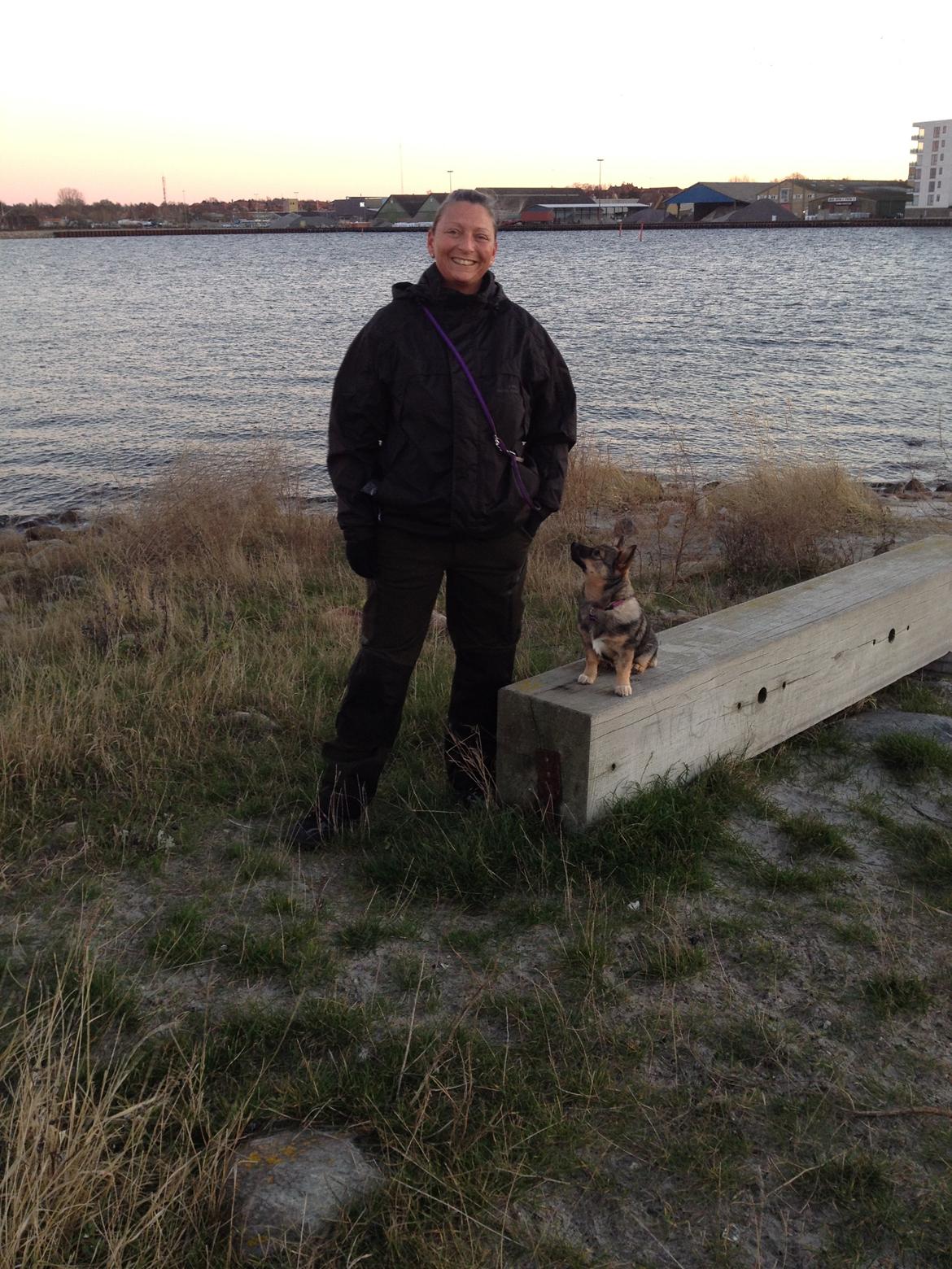 Västgötaspids Gaia R. I. P - Vi er nede og træne på stranden billede 26