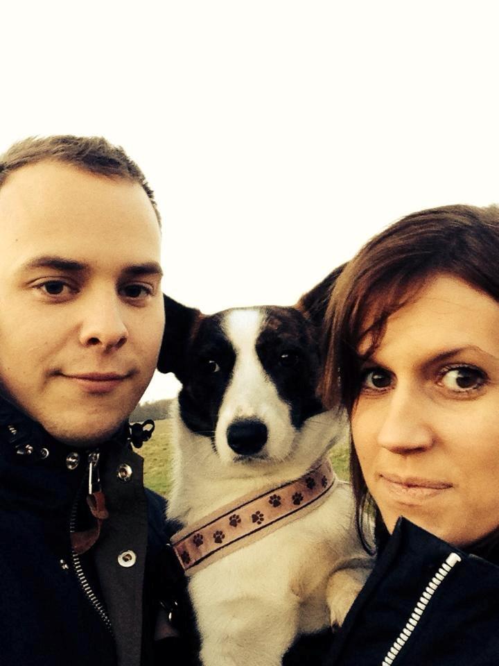 Welsh corgi cardigan Rosie billede 16