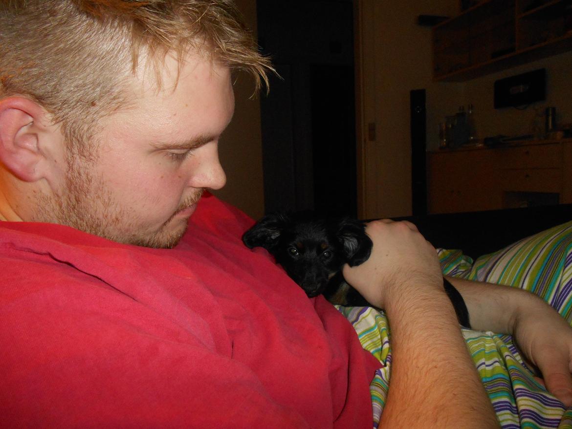 Blanding af racer Tessi - Det er så dejligt at ligge hos min far og slappe af.  billede 23