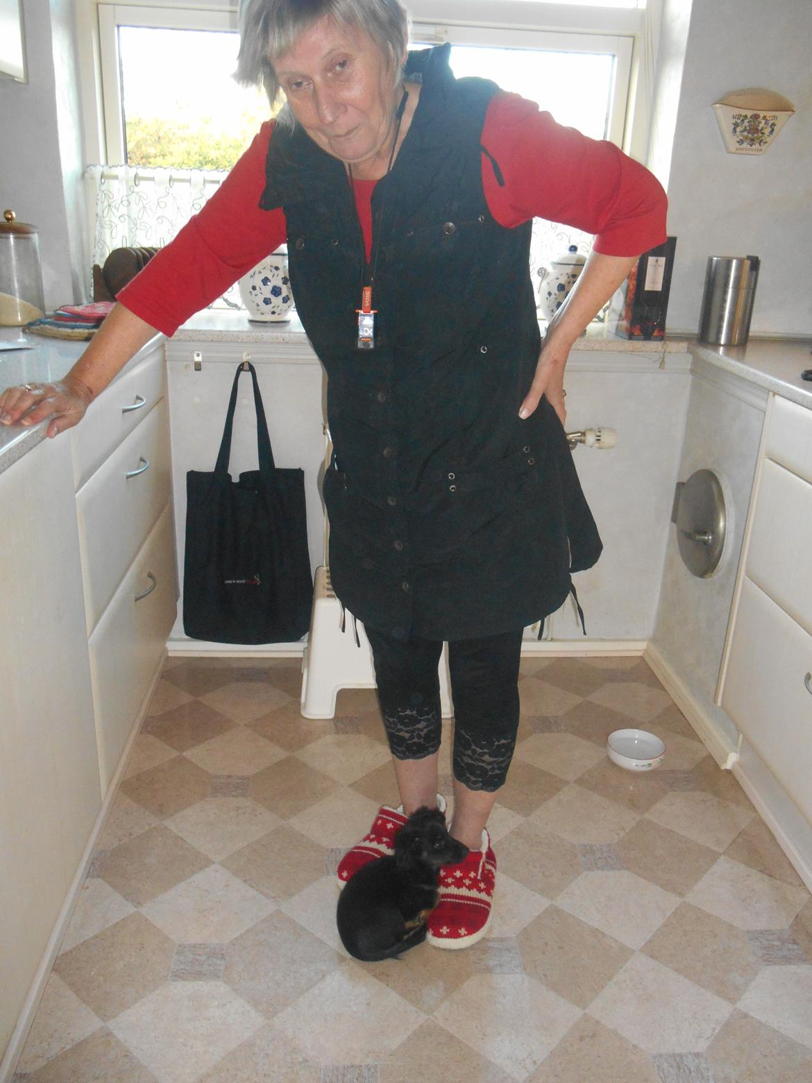 Blanding af racer Tessi - Mormor skal lige have varmet sine tær. billede 26