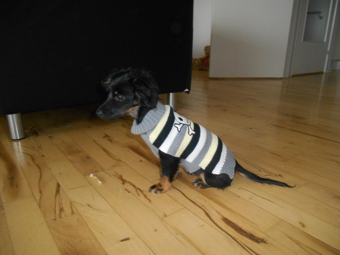 Blanding af racer Tessi - Se nu er jeg super smart. billede 28