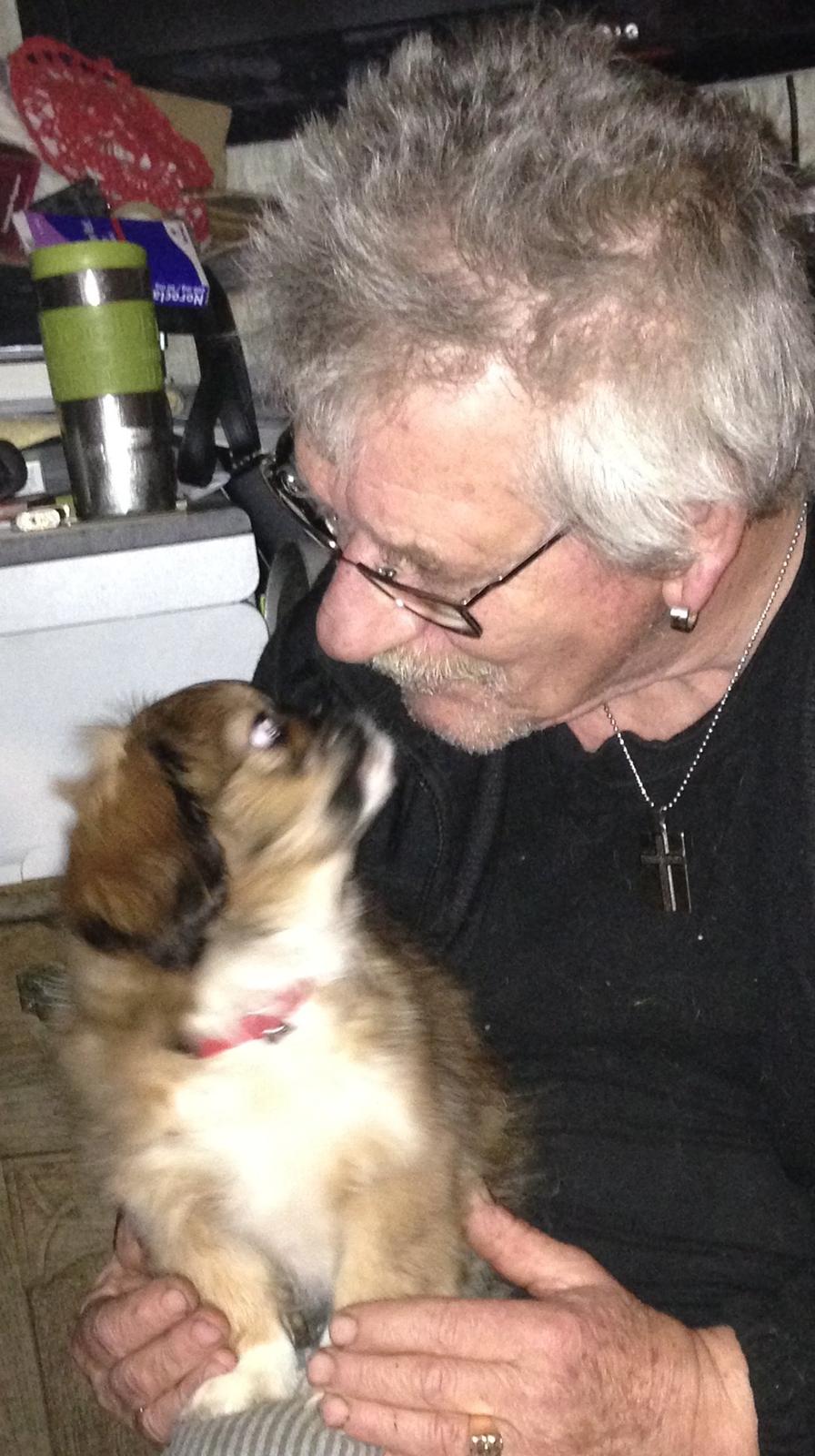 Blanding af racer Fie billede 7