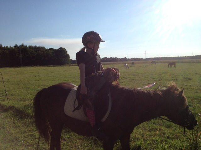 Gravhund Luna billede 2