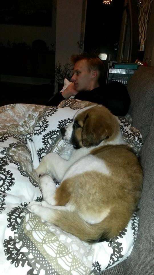 Blanding af racer Kenzo - Putter med far <3 billede 21