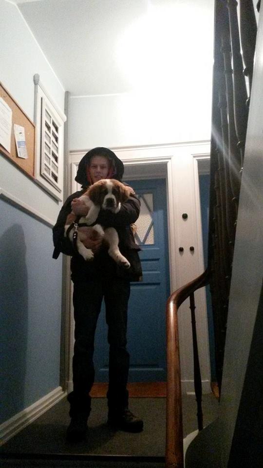 Blanding af racer Kenzo - Man skal bæres til 5. sal ;) billede 23