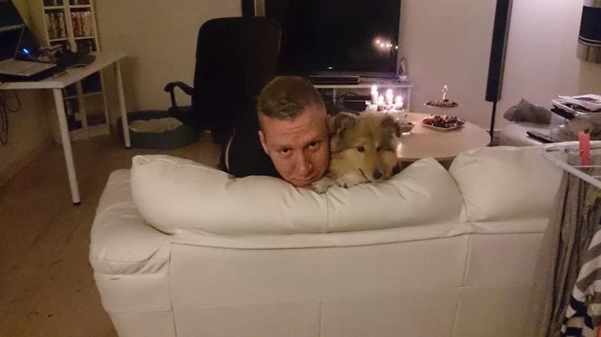 Shetland sheepdog Tarzan billede 12