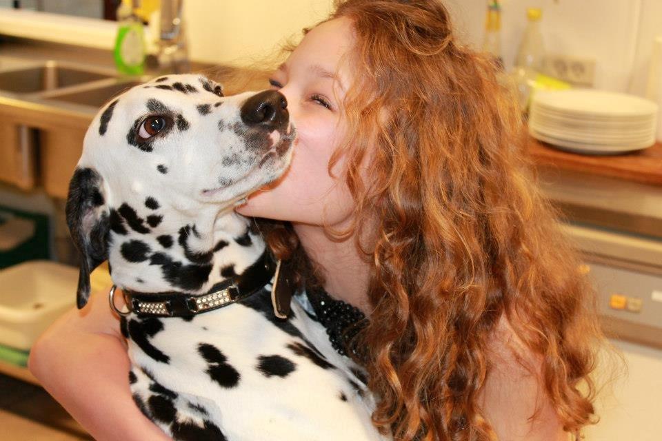 Dalmatiner Mindy billede 3