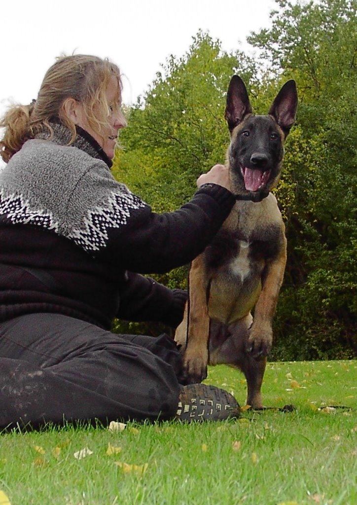 Malinois QuBik billede 8
