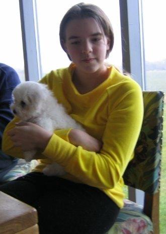 Bichon à poil frisé Max (Skovfryd Snow Max) - først gang jeg mødte Max billede 1