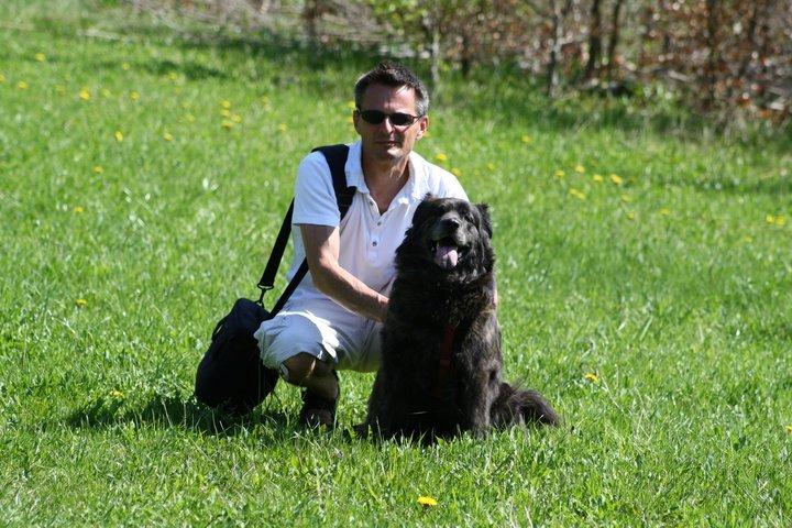 Blanding af racer Freja billede 21