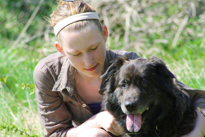 Blanding af racer Freja billede 22