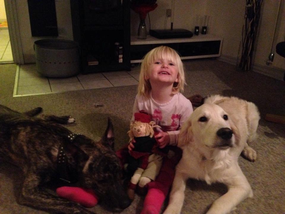 Blanding af racer Tyson billede 6