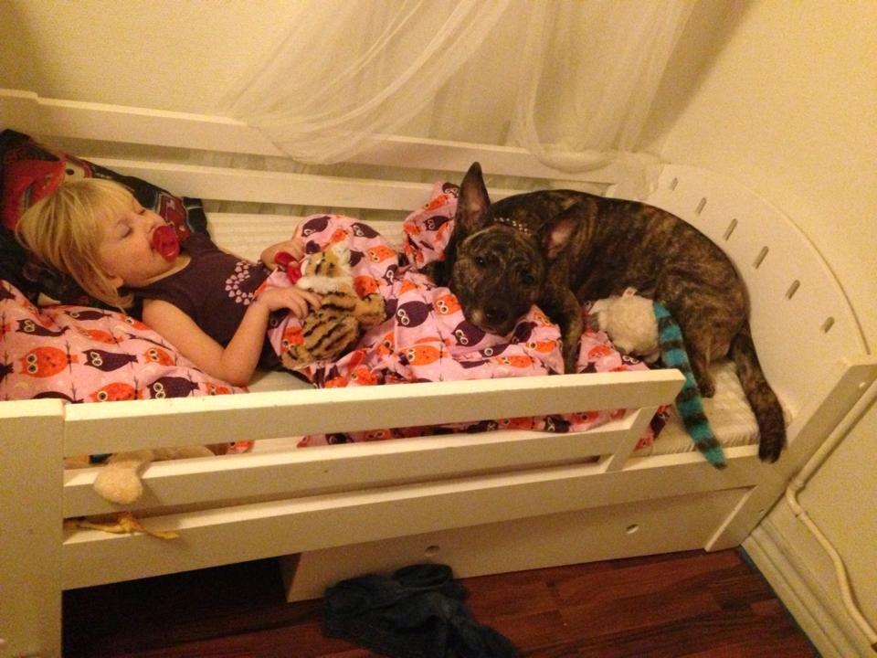 Blanding af racer Tyson billede 7