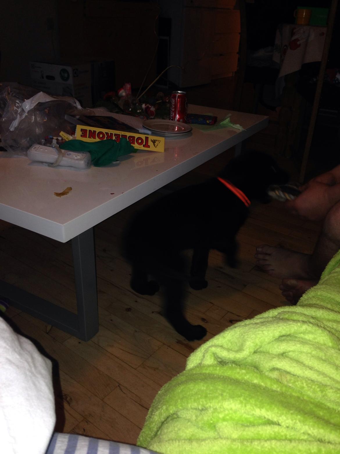 Blanding af racer sofus billede 4