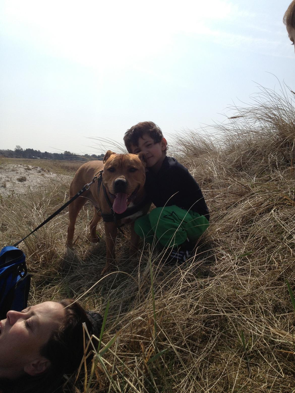 Blanding af racer BALDER *HIMMELHUND* billede 25