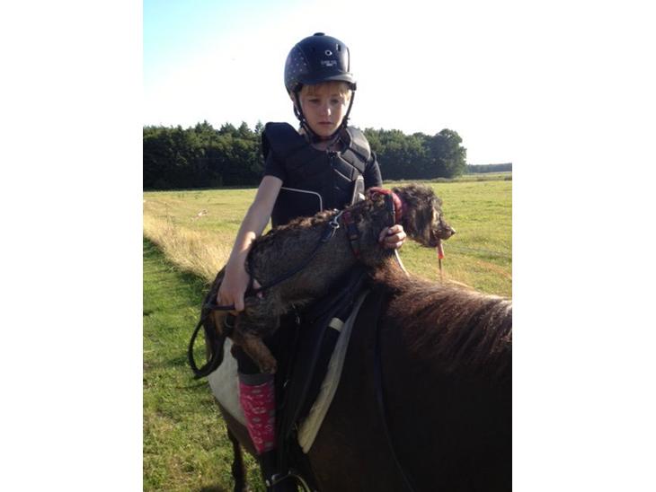 {{currentPhoto.altText}} billede {{currentPhoto.number}}