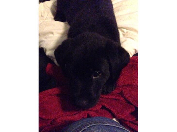 {{currentPhoto.altText}} billede {{currentPhoto.number}}