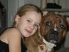 Staffordshire bull terrier Skunk