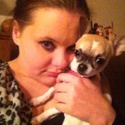 Chihuahua Chila