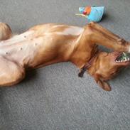 Blanding af racer Sille