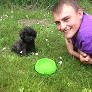 Blanding af racer Lui