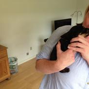 Blanding af racer Baron Von Werner Frands-Jaeger "Werner"