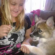 Blanding af racer Frida