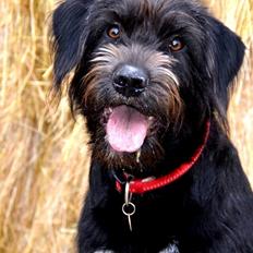 Blanding af racer Nikkie