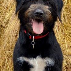 Blanding af racer Nikkie