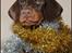 Dobermann LJCH From Island Korsika A Mill. $ Baby (Cocio)