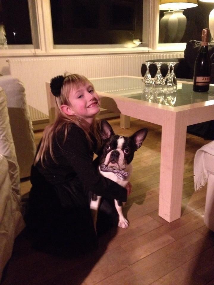 Boston terrier Multi-CH Westlund As Good As It Gets aka Pepsi billede 32