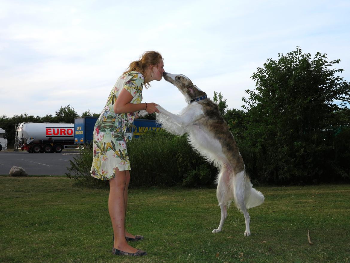 Borzoi Rotteberg aka Rotte - Dog dancing - 1 år billede 7