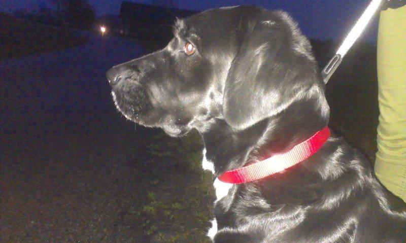 Blanding af racer Pihl - tak for kigget skriv gerne en kommentar og give en bedømmelse  billede 27