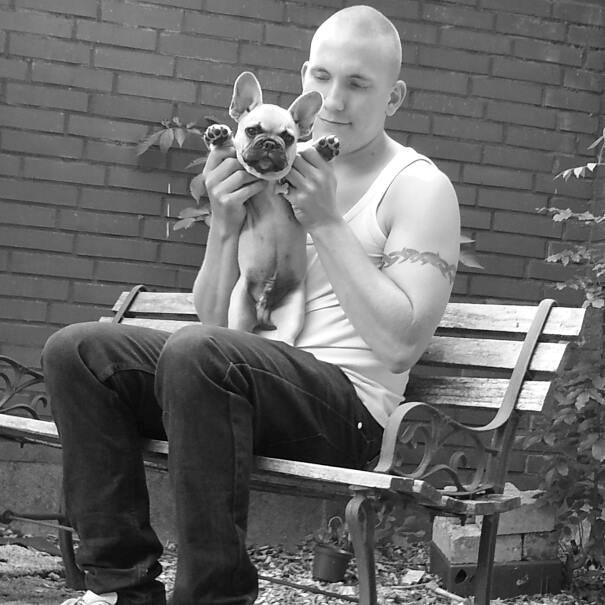 Fransk bulldog Pumba billede 1