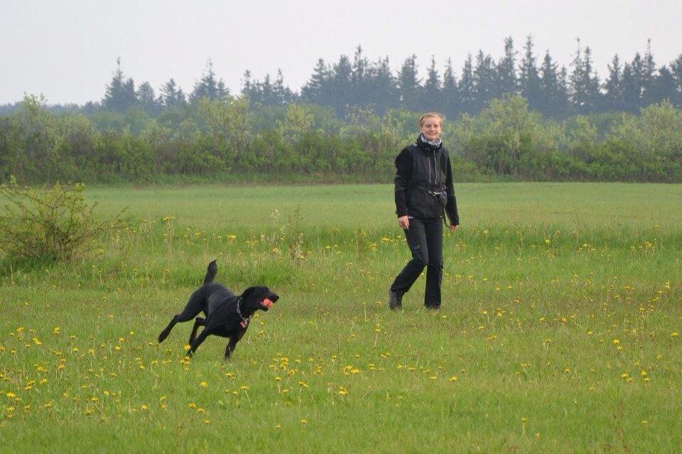 Blanding af racer Selma billede 27