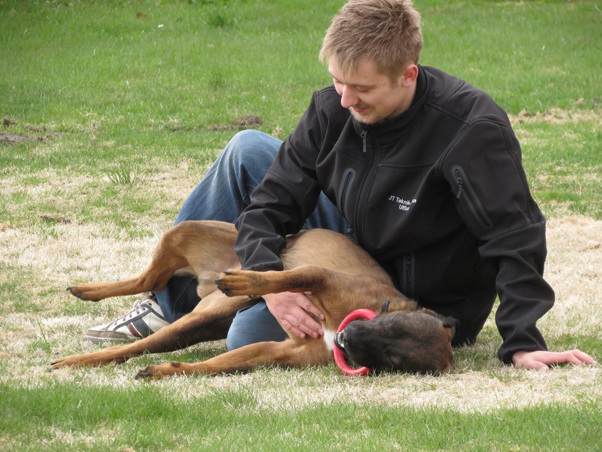 Blanding af racer Odin billede 10