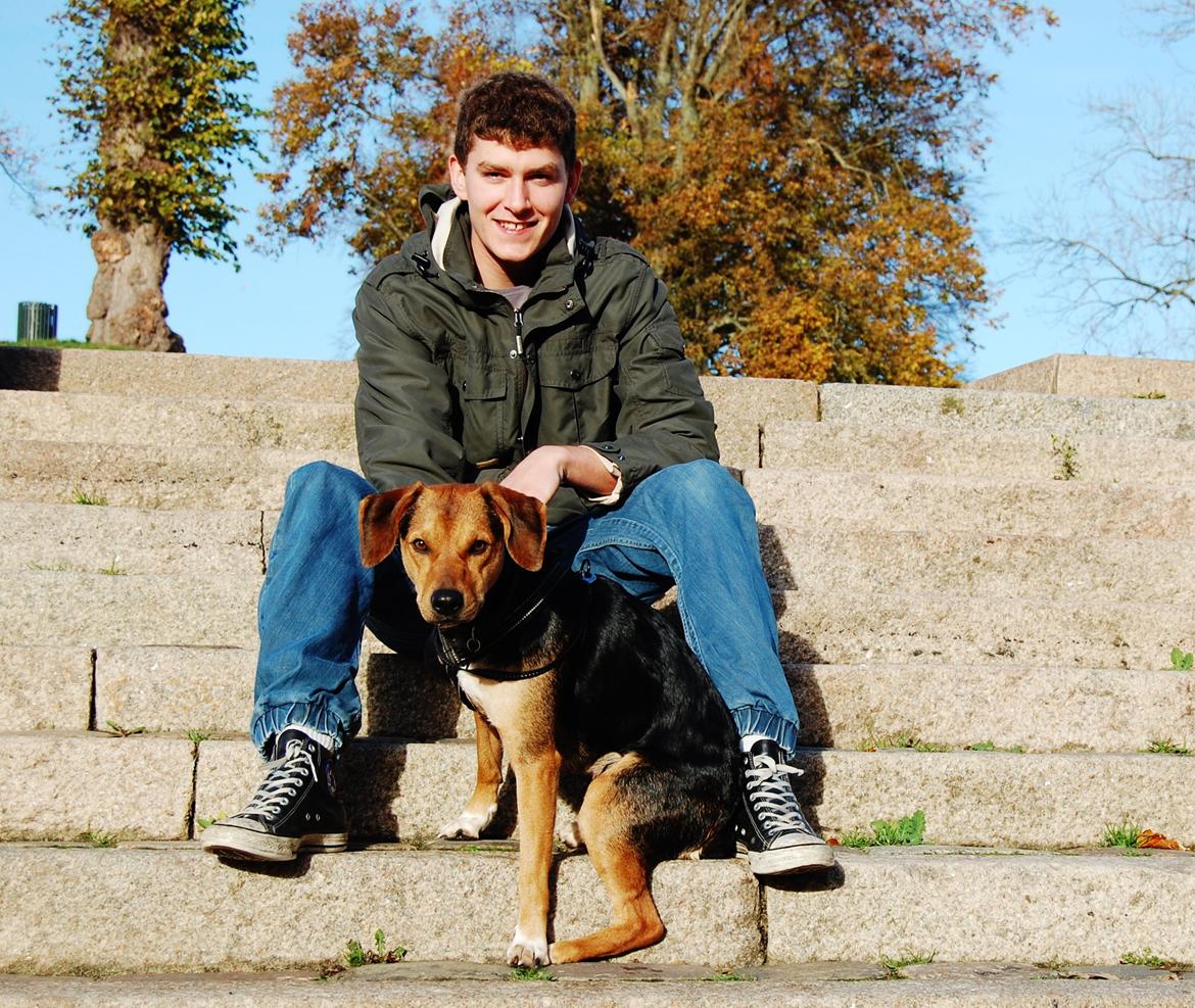 Blanding af racer Jackie - Mads'en elsker Jackie, og Jackie elsker Mads'en. billede 24