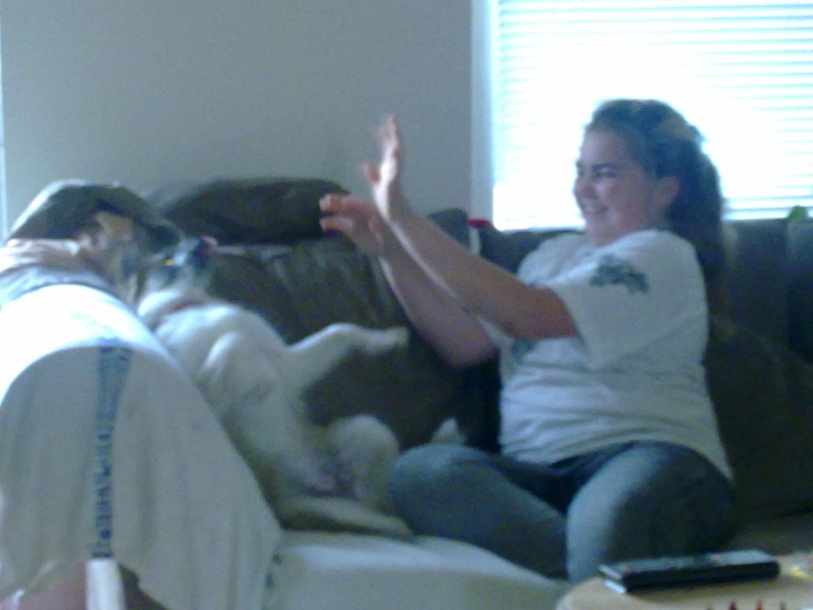 Blanding af racer Frida - Sacha og Frida Leger bamse billede 4