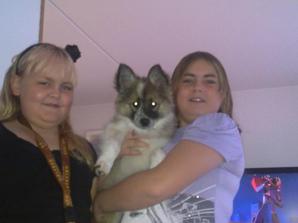 Blanding af racer Frida - Frida med Sacha og Cille billede 5