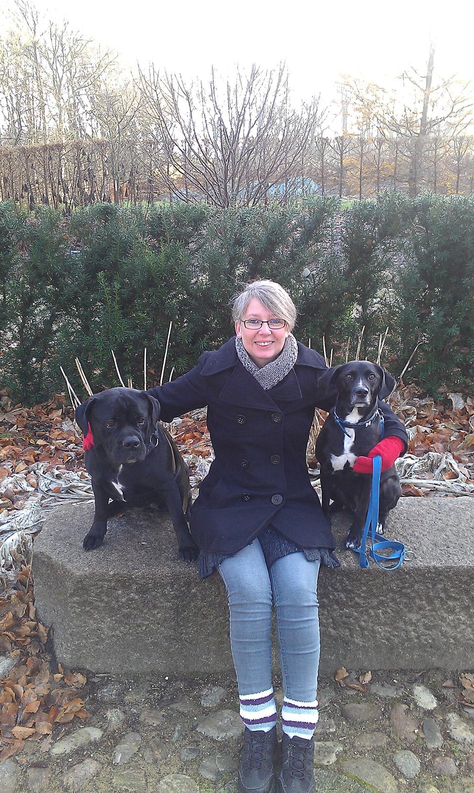 Blanding af racer Lucas billede 20