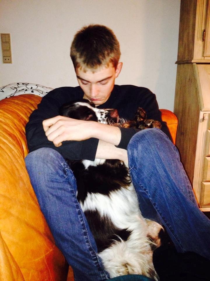 Engelsk springer spaniel "Enzo" sieger's Nothing But Trouble - Nikolaj og Enzo billede 9