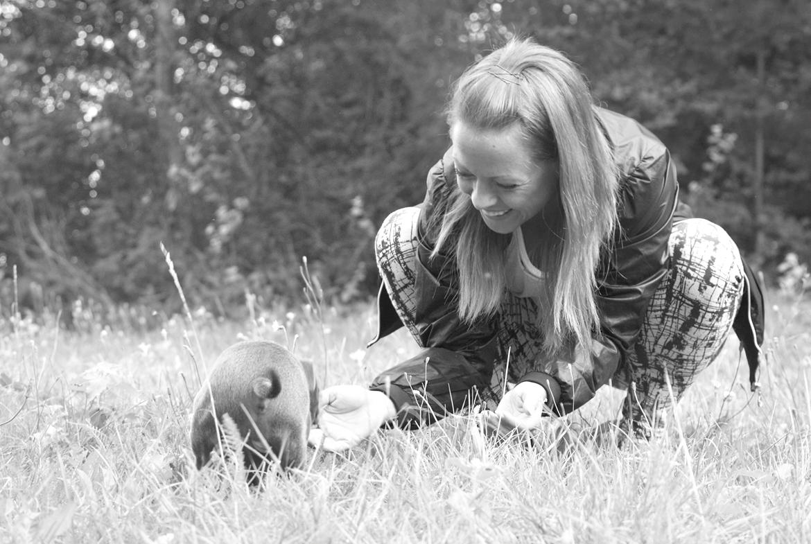 Staffordshire bull terrier Bella billede 6