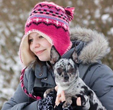 Chihuahua High Fly Blue Sky (Shizuka) billede 1