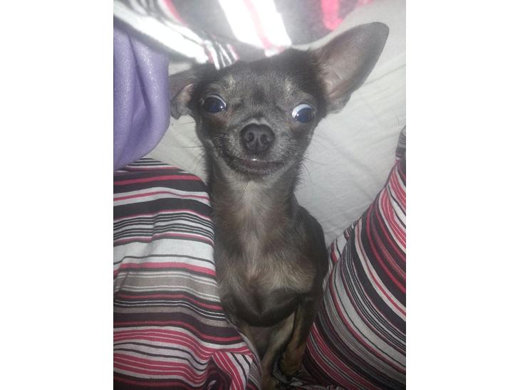 {{currentPhoto.altText}} billede {{currentPhoto.number}}