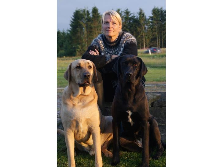 {{currentPhoto.altText}} billede {{currentPhoto.number}}