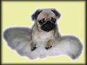 Mops Lajka