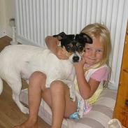 Dansk svensk gaardhund muffe