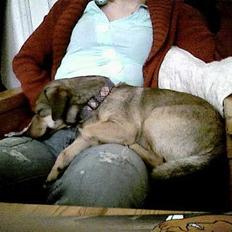 Blanding af racer Bimmer