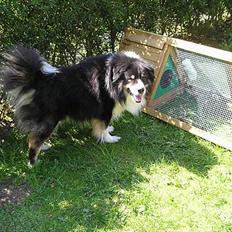 Blanding af racer Mulle